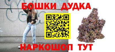 гашик Новодвинск