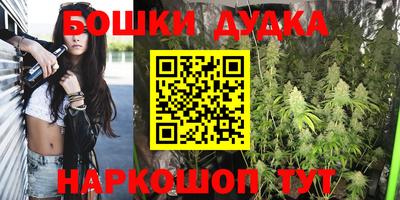 гашик Новодвинск