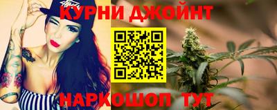гашик Новодвинск