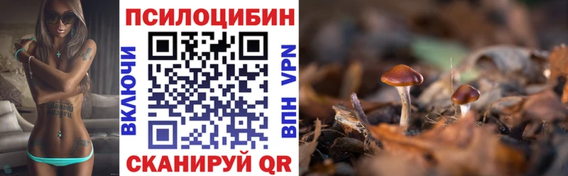 как найти закладки Славгород omg зеркало Псилоцибиновые грибы Magic Shrooms