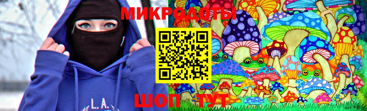 как найти наркотики  Вход с VPN  Славгород  Галлюциногенные грибы Psilocybe 