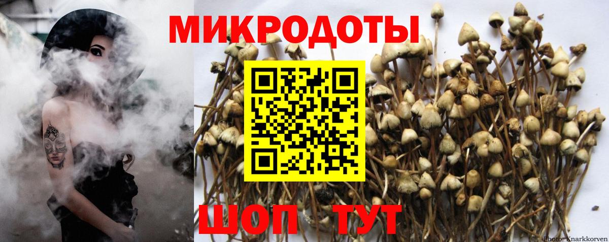 Alpha PVP Славгород